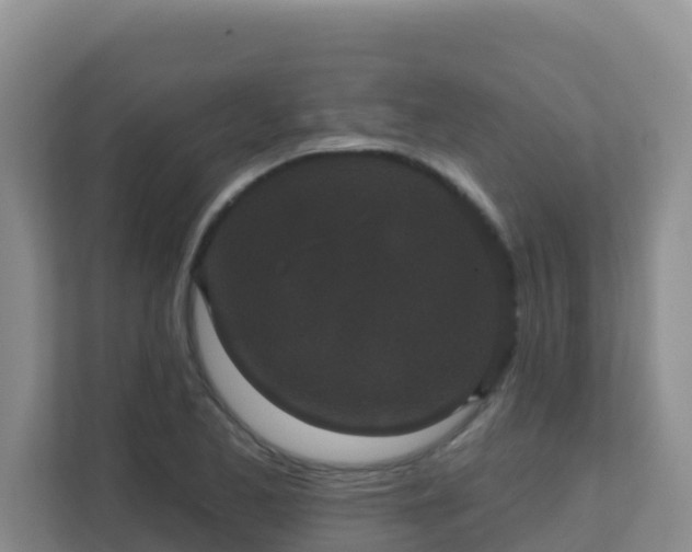 X0000111641173200907241105