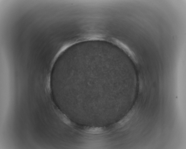 X0000111641174200907241105