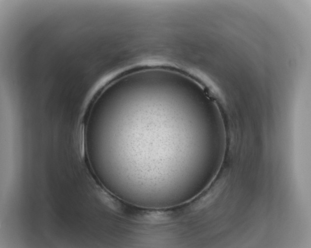 X0000111641175200907241105