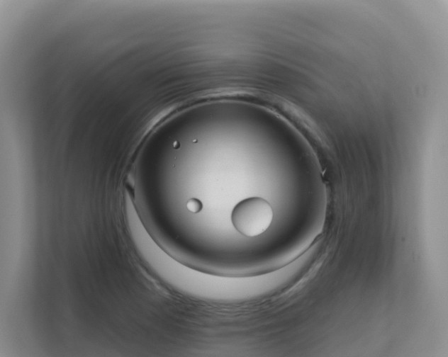 X0000111641177200907241105