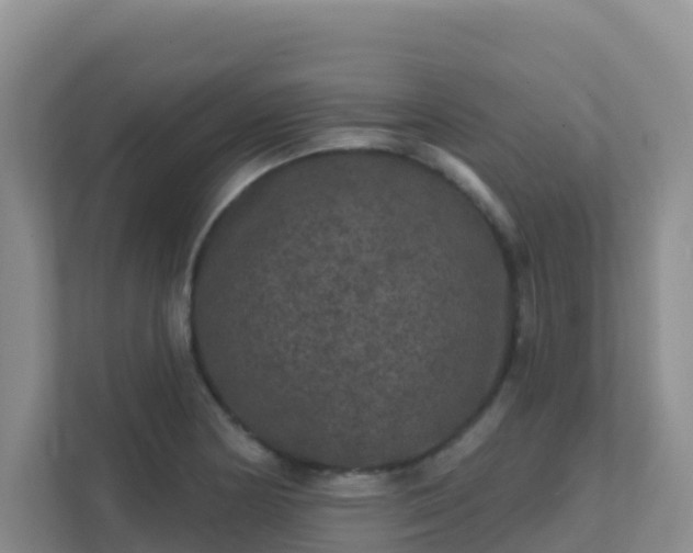 X0000111641178200907241105