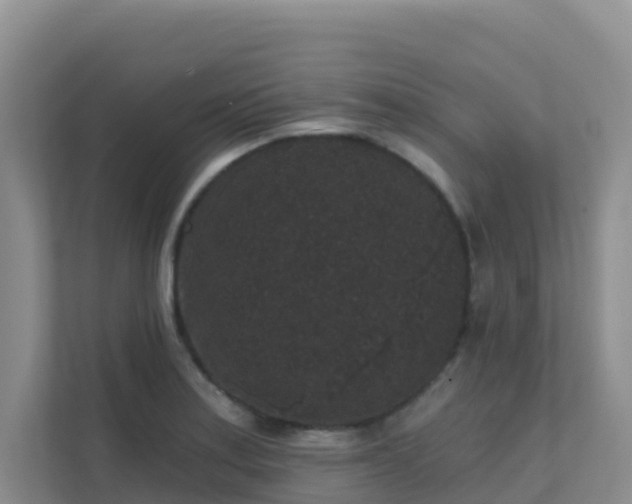 X0000111641179200907241105