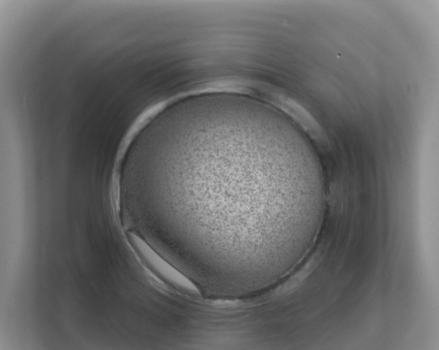 X0000111641180200907241105