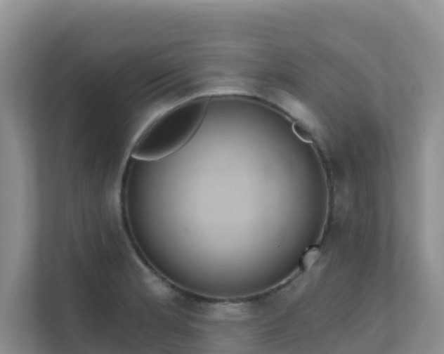 X0000111641181200907241104