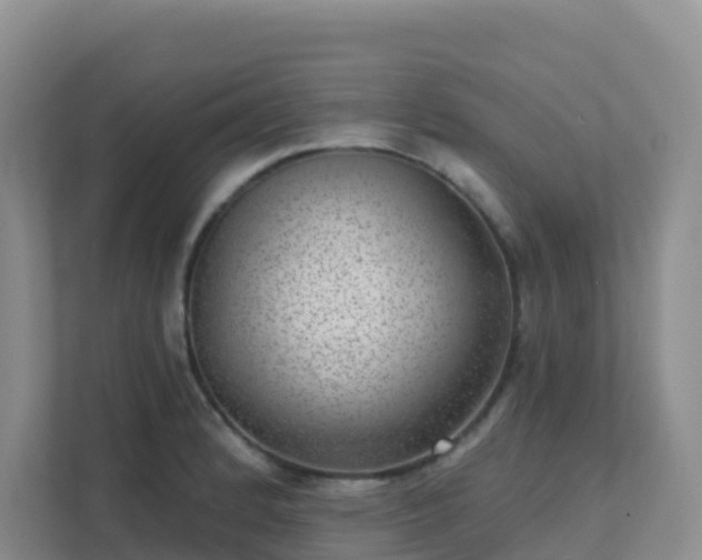 X0000111641184200907241104