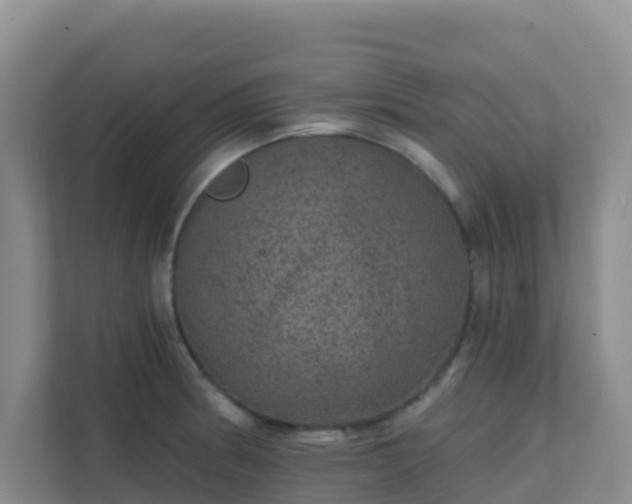 X0000111641186200907241104