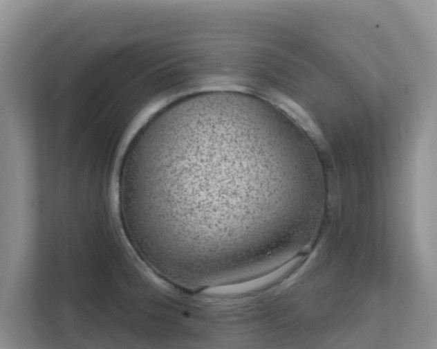 X0000111641188200907241104