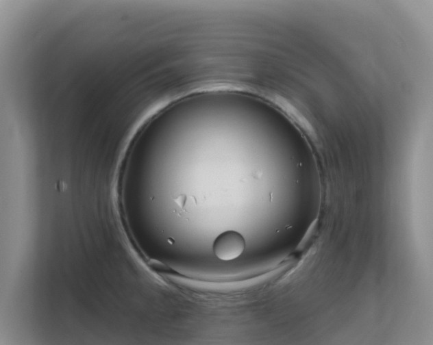 X0000111641189200907241104