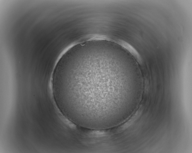 X0000111641190200907241104