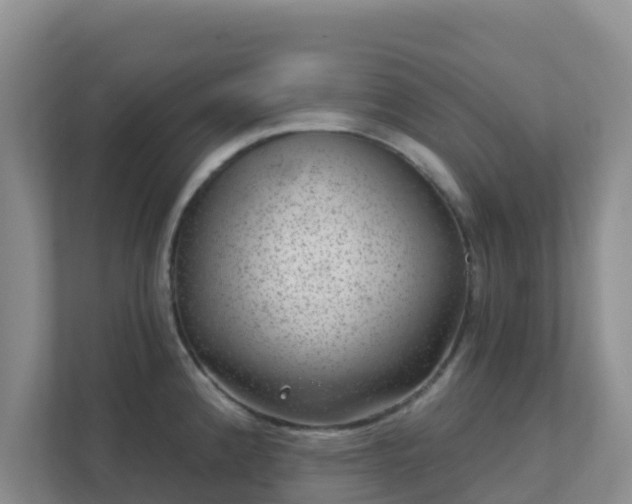 X0000111641192200907241104