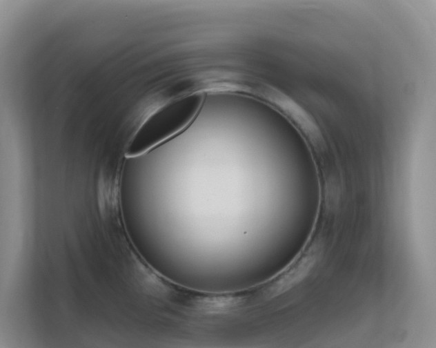 X0000111641193200907241104