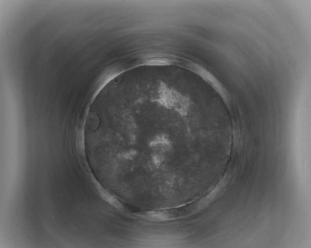 X0000111641194200907241104