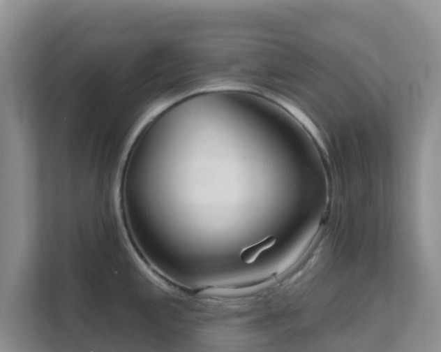 X0000111641197200907241104