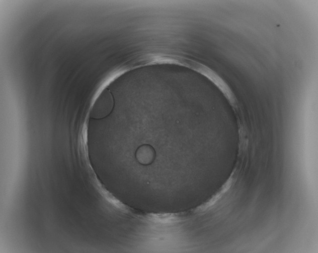 X0000111641198200907241104