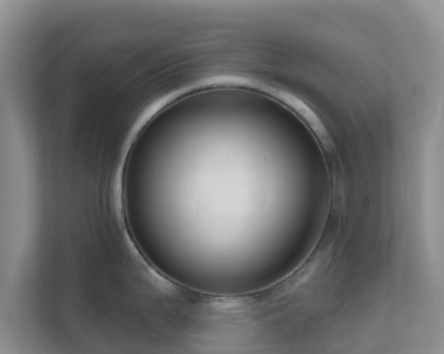 X0000111641199200907241104