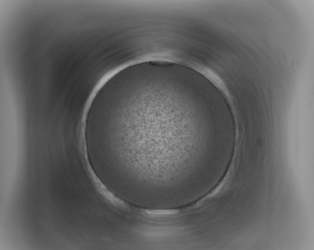 X0000111641200200907241104