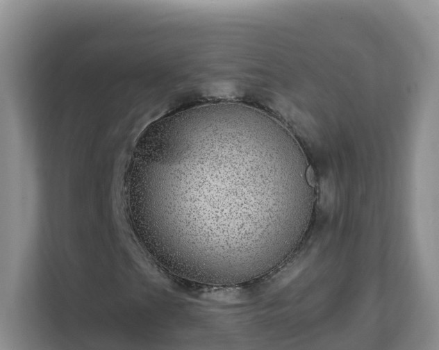 X0000111641201200907241104