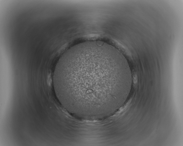 X0000111641204200907241104