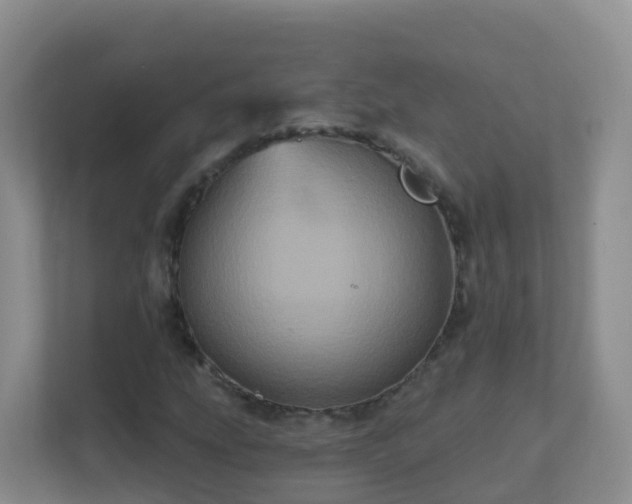 X0000111641207200907241104