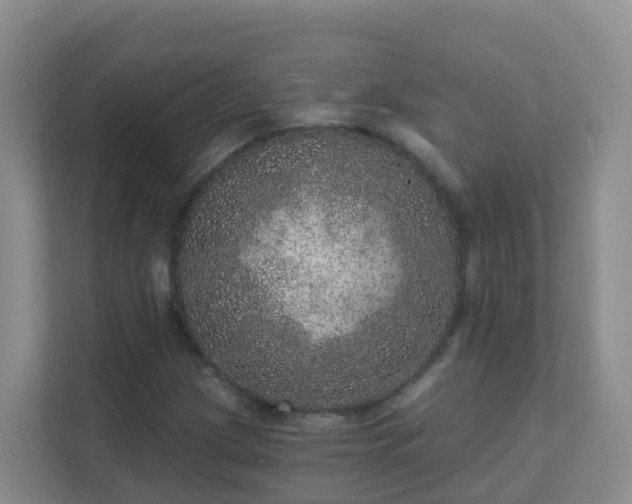 X0000111641209200907241104