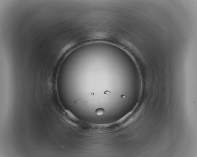 X0000111641210200907241104