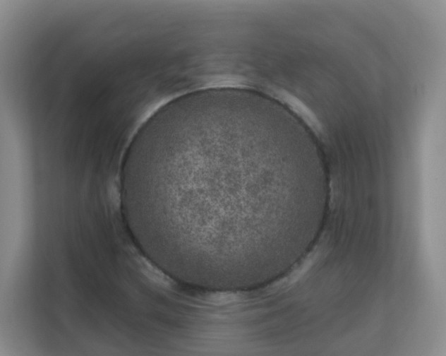 X0000111641212200907241104