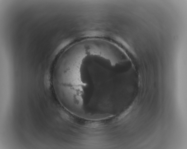 X0000111641213200907241104