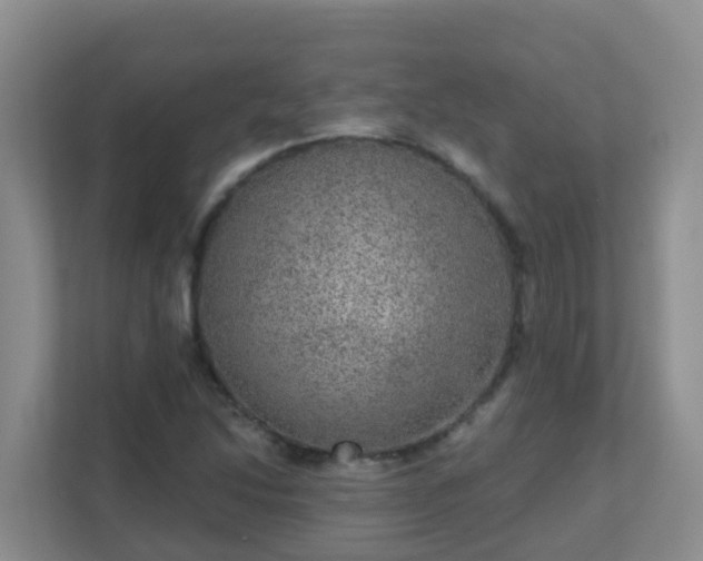 X0000111641214200907241104