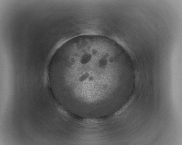 X0000111641215200907241104