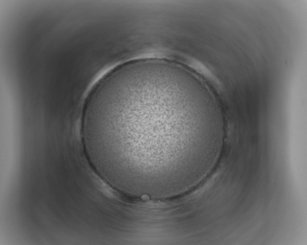 X0000111641216200907241104