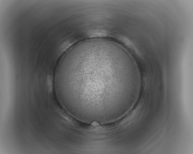 X0000111641217200907241104