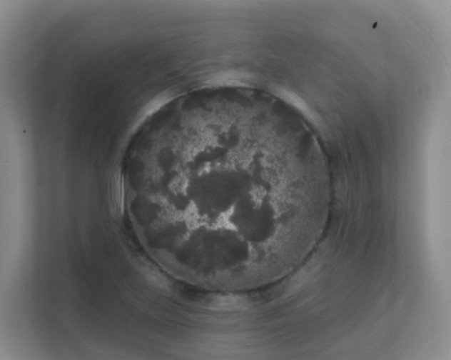 X0000111641219200907241104