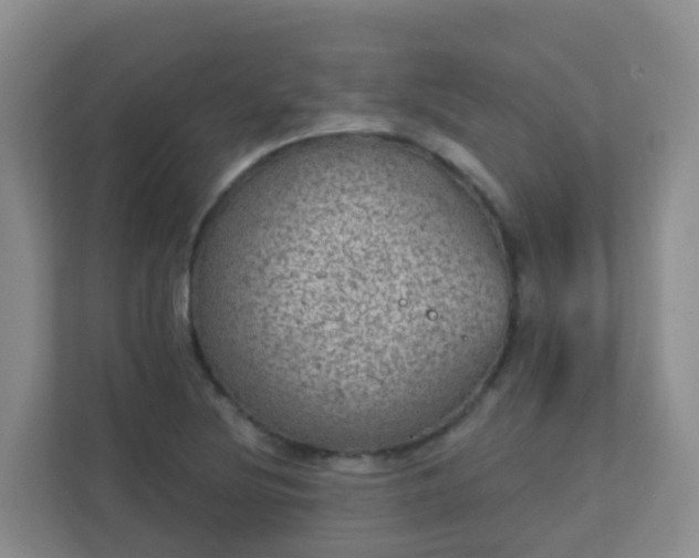 X0000111641220200907241104