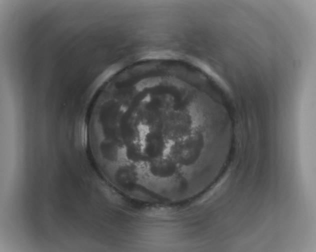 X0000111641221200907241104