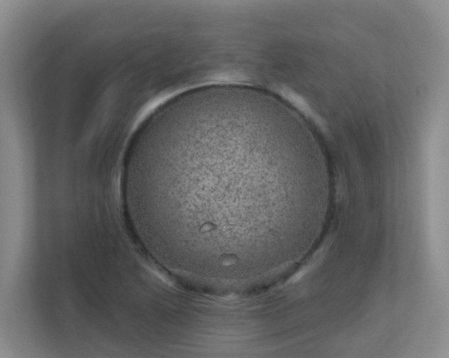 X0000111641222200907241104