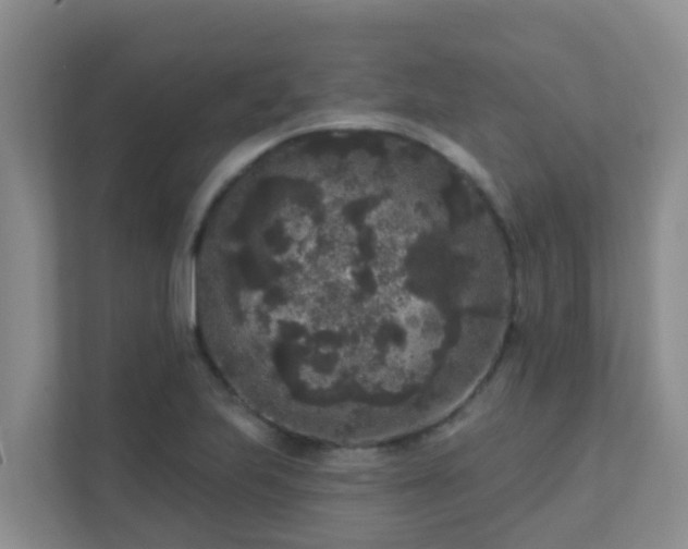 X0000111641223200907241104