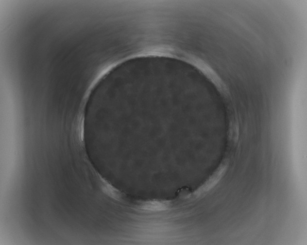 X0000111641224200907241104