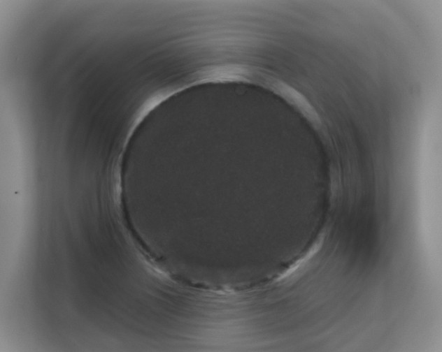 X0000111641226200907241104