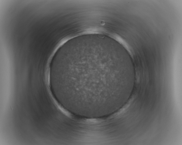 X0000111641227200907241104