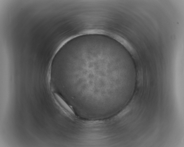 X0000111641228200907241104