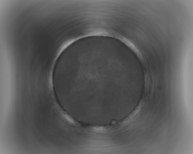 X0000111641230200907241104