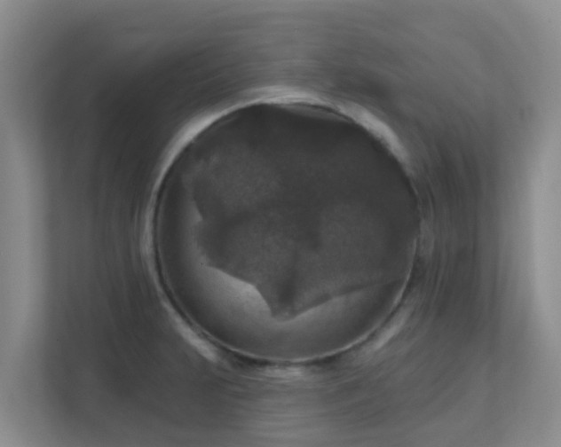 X0000111641231200907241104