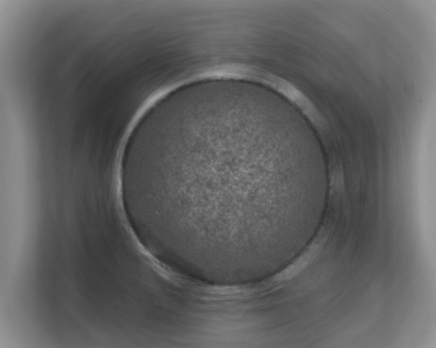 X0000111641232200907241104