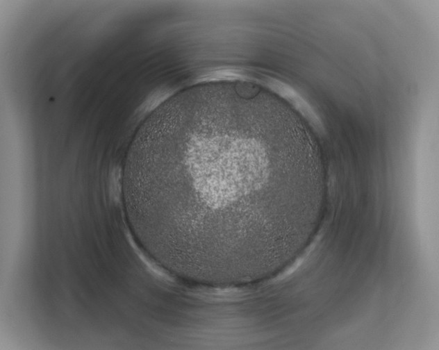 X0000111641233200907241104