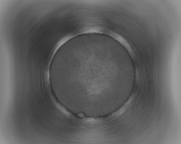 X0000111641234200907241104