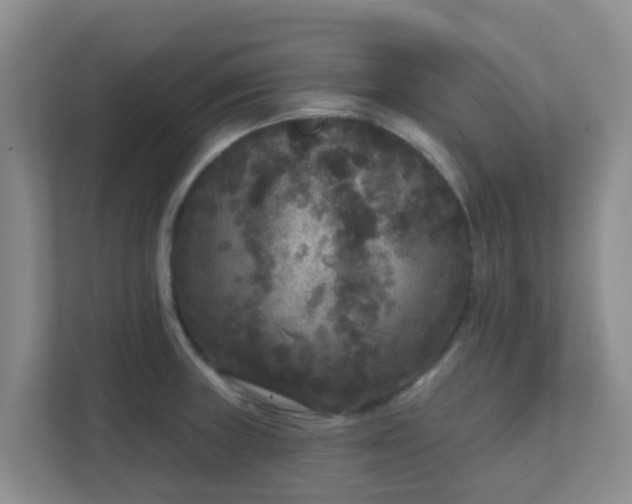 X0000111641235200907241104