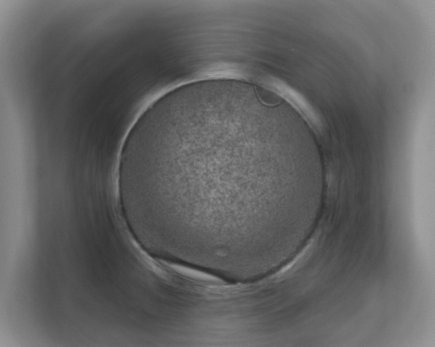 X0000111641236200907241104