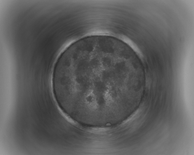 X0000111641237200907241104