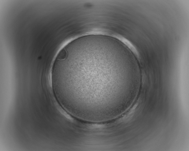 X0000111641238200907241104