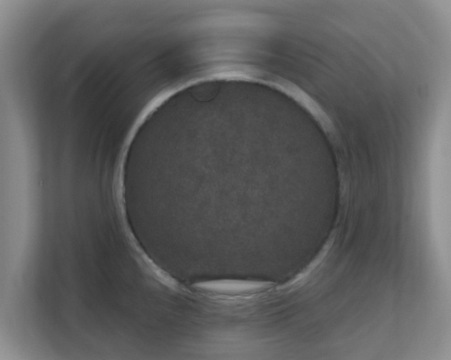 X0000111641240200907241104